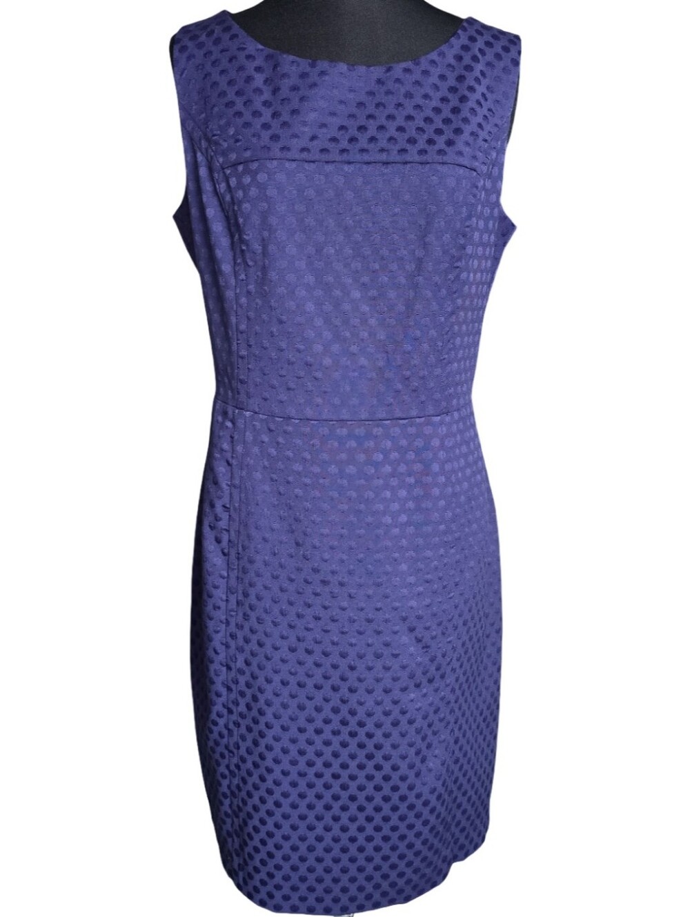 Banana Republic Navy Blue Polka Dot Sleeveless Sheath Dress Size 12 Work Career